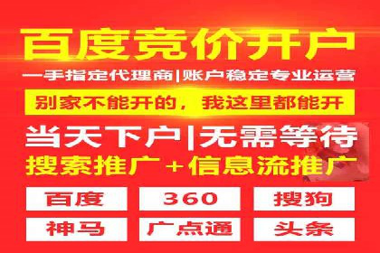 从新手到高手：百度竞价实战案例分析